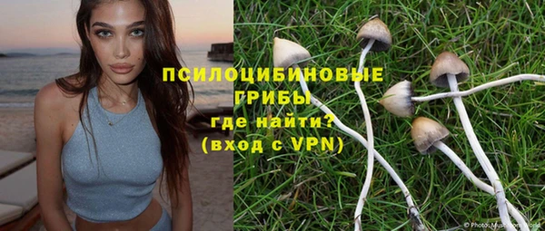 не бодяженный Аркадак