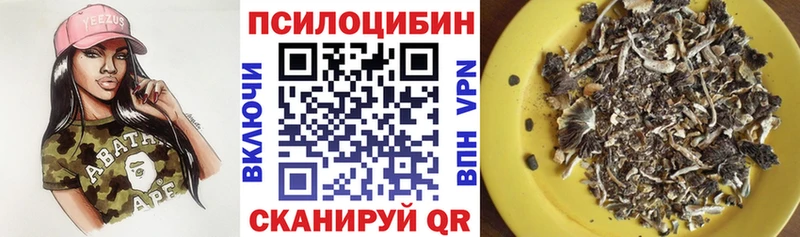 Галлюциногенные грибы Psilocybe  Светлоград 